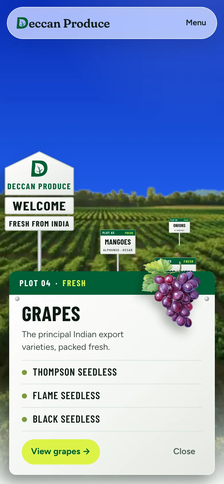 A grapes plot sign opened into a product card on a phone